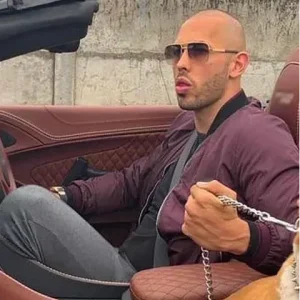 Cobra Tate Top G Maroon Bomber Jacket