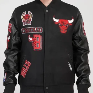 Chicago Bulls Animal Patches Black Varsity Jacket