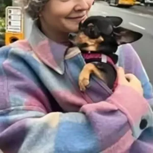 Drew Barrymore Show Checked Wool Jacket