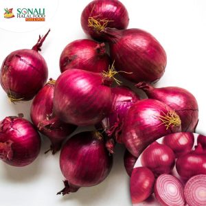 Onion (India)
