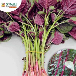 Fresh Data/ Stem Of Green Amaranth