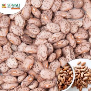 Pinto Beans