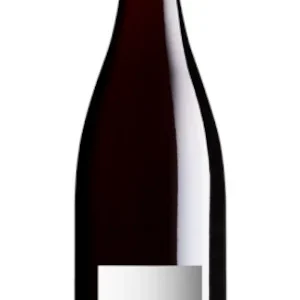 Chateau de Tracy Les Marnes Pinot Noir