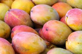 Mango, Riped, Whole,Fresh,Mexico
